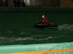 Messe Wien 2009