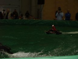 Messe Wien 2009