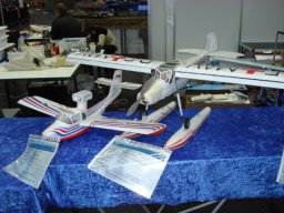 Messe Wien 2009