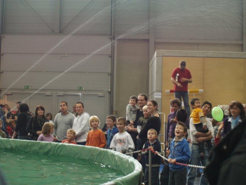 Messe Wien 2010