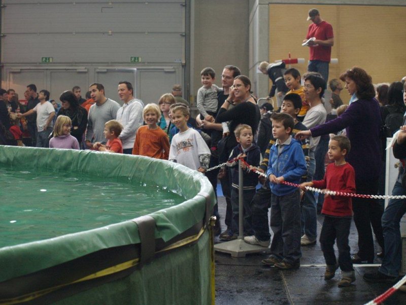 Messe Wien 2010