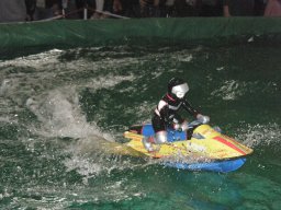Messe Wien 2010