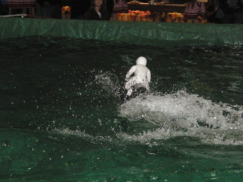 Messe Wien 2011