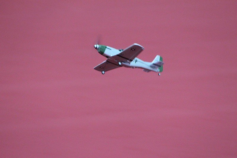 Messe Wien 2011