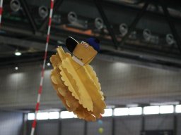 Messe Wien 2011