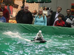 Messe Wien 2011
