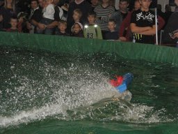 Messe Wien 2011