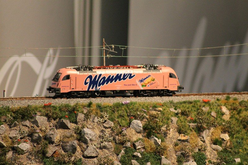 Messe Wien 2013