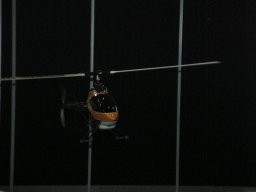WWMB 2010
