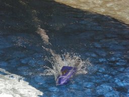 WWMB 2011