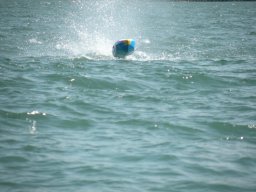 Mattsee_2016_163