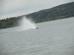 Mattsee_2016_064