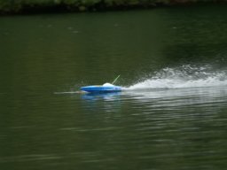 Cobra