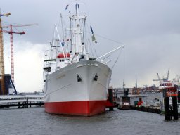 Hafen Hamburg 2008