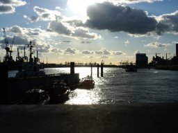 Hafen Hamburg 2008