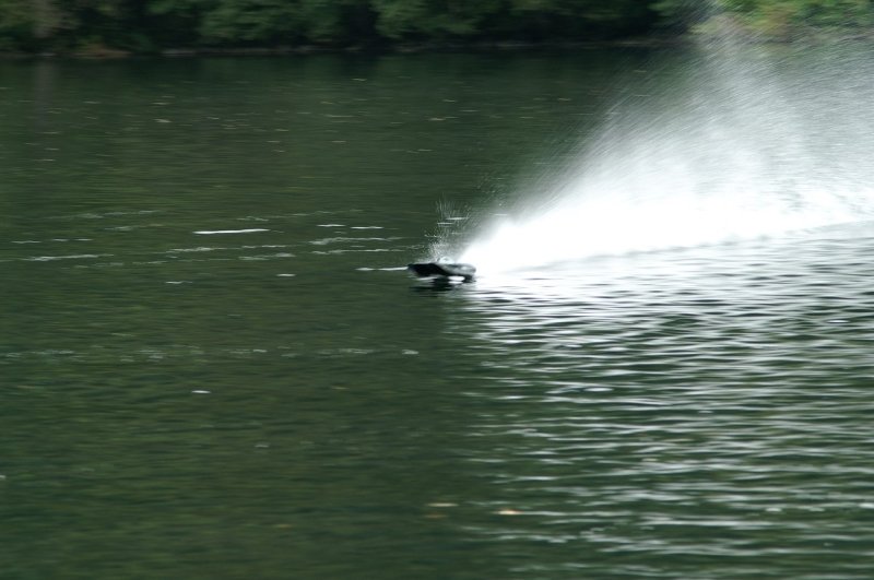 Lunz 2005
