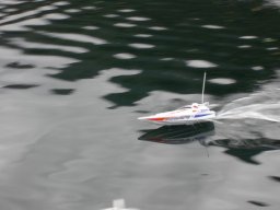 Lunz 2005