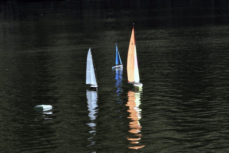 Lunz 2006