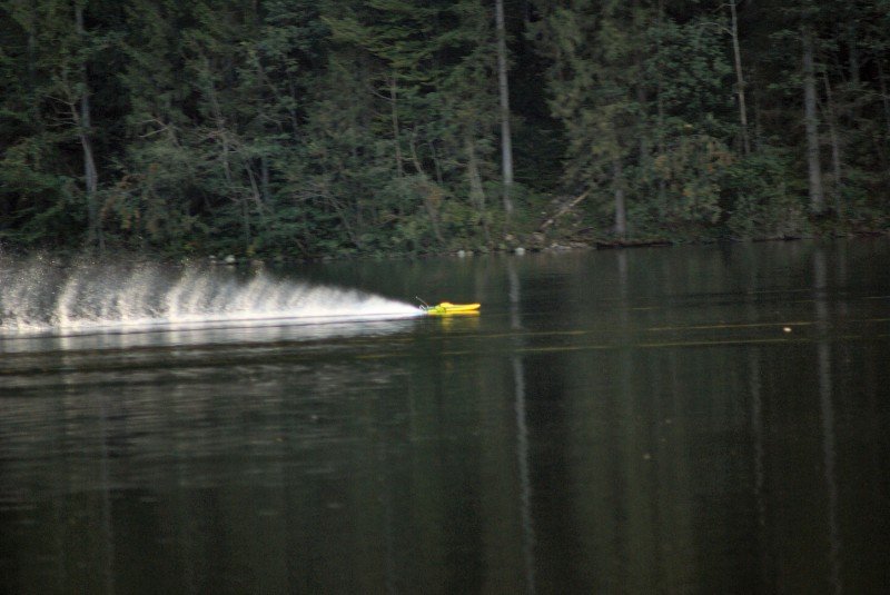 Lunz 2006