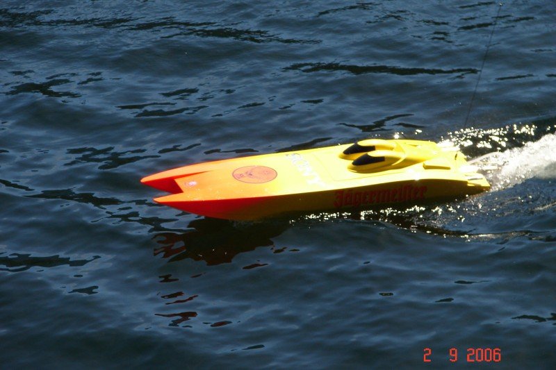 Lunz 2006