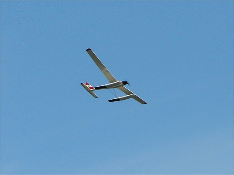 Lunz 2006
