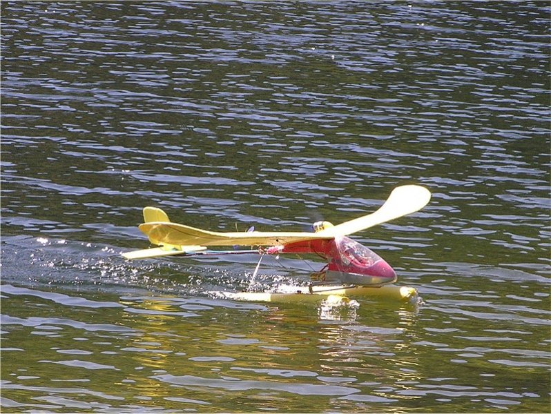 Lunz 2006