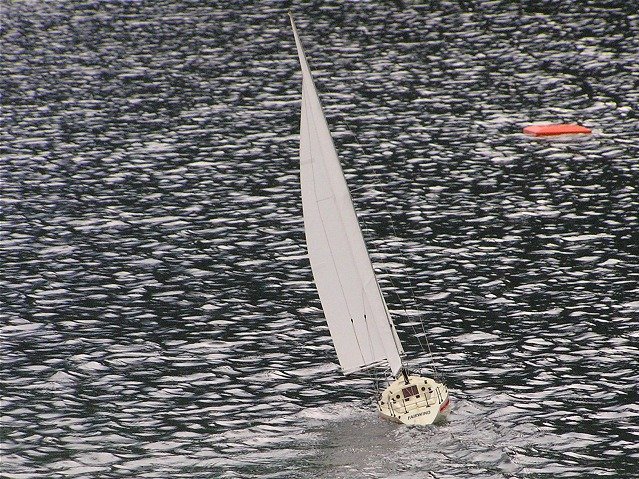 Lunz 2007