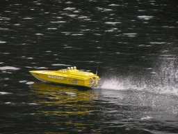 Lunz 2007