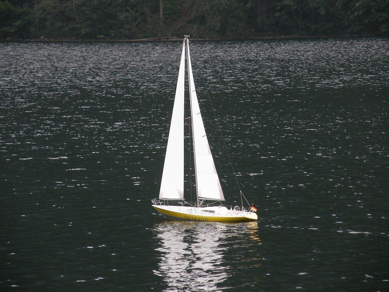 Lunz 2008