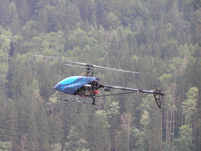 Lunz 2008