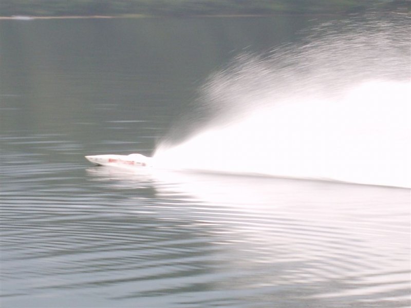 Lunz 2008
