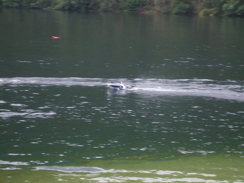 Lunz 2008