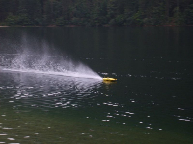 Lunz 2008