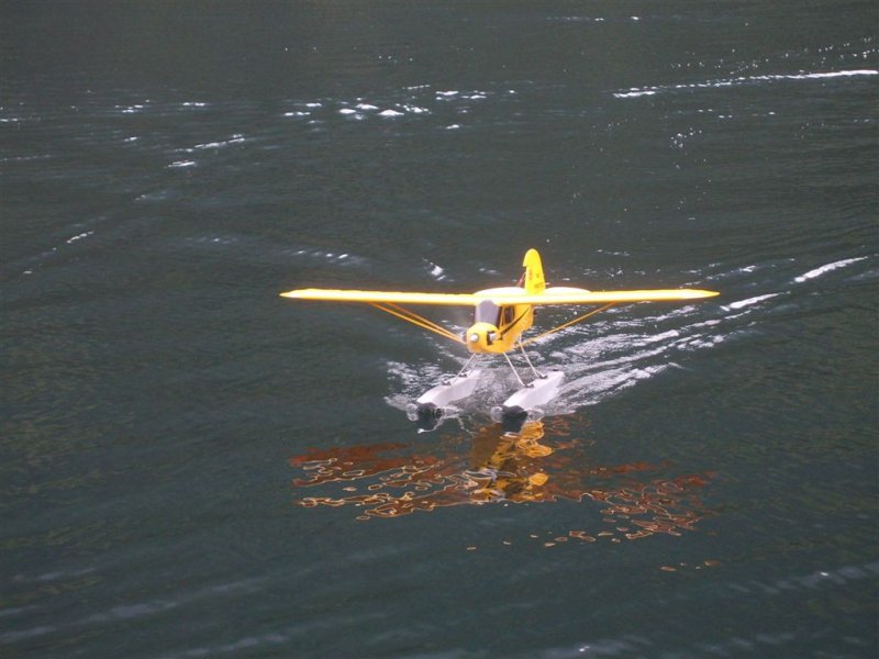Lunz 2008