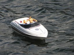 Lunz 2009