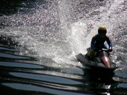 Lunz 2009
