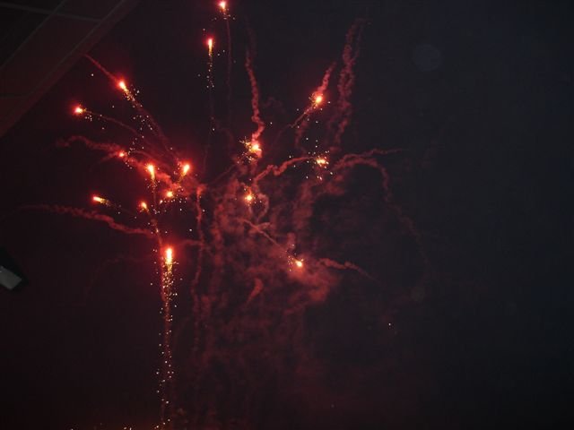 Lunz 2011