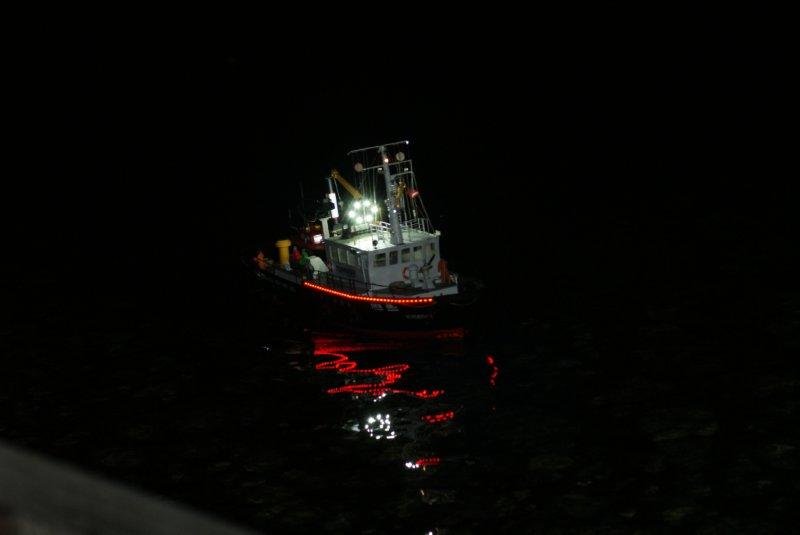 Lunz 2011