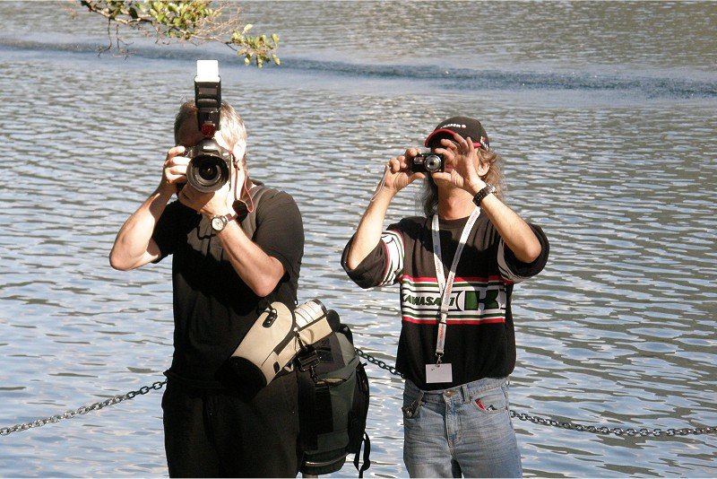 Lunz 2011