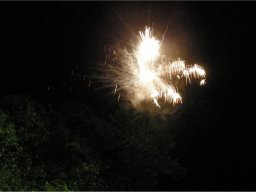Lunz 2011