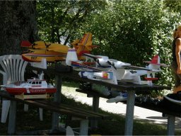 Lunz 2011