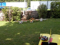 Lunz 2011
