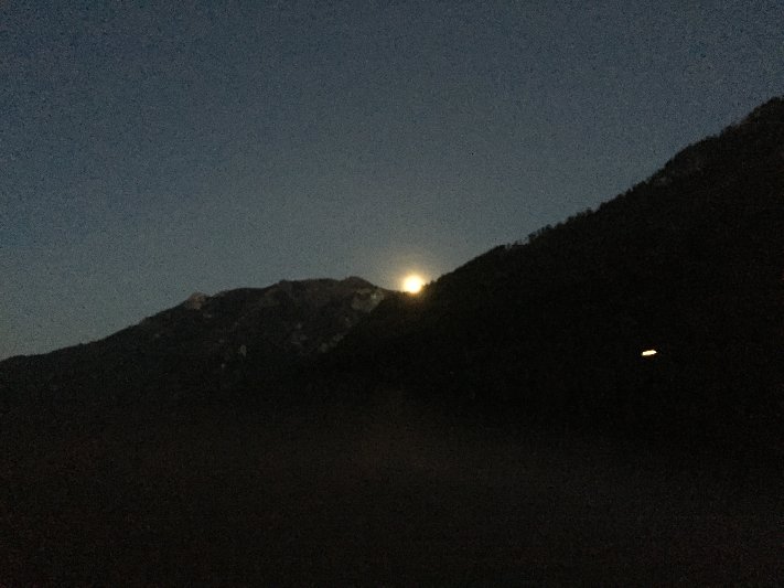 Lunz 2015