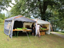 Lunz 2018