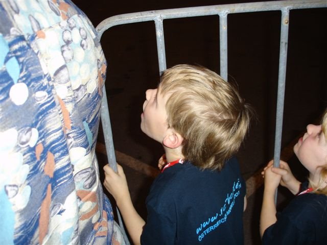 Messe Wien 2006