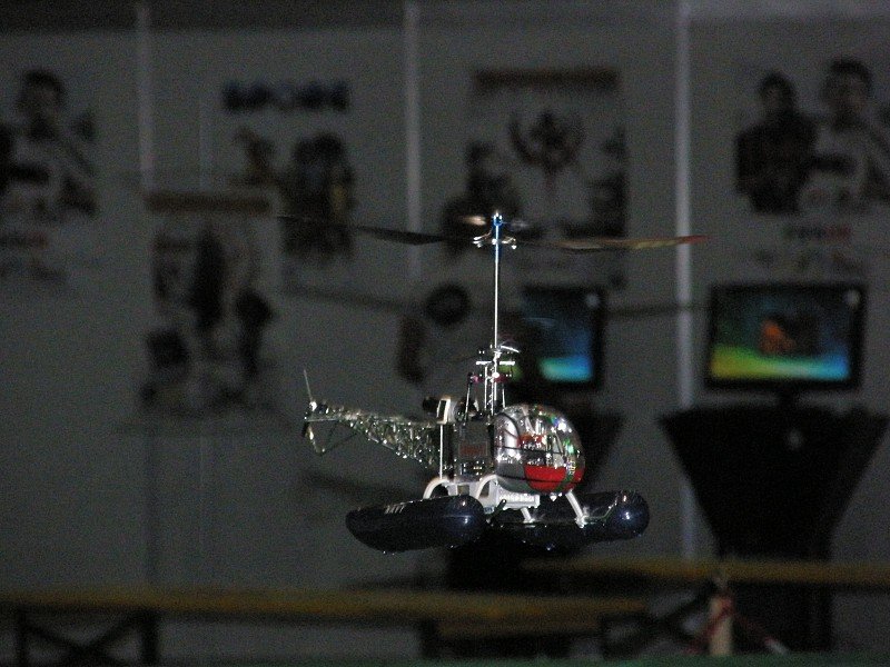 Messe Wien 2008