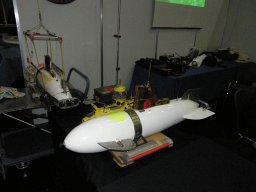 Messe Wien 2008