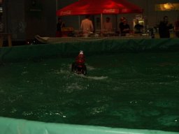 Messe Wien 2009