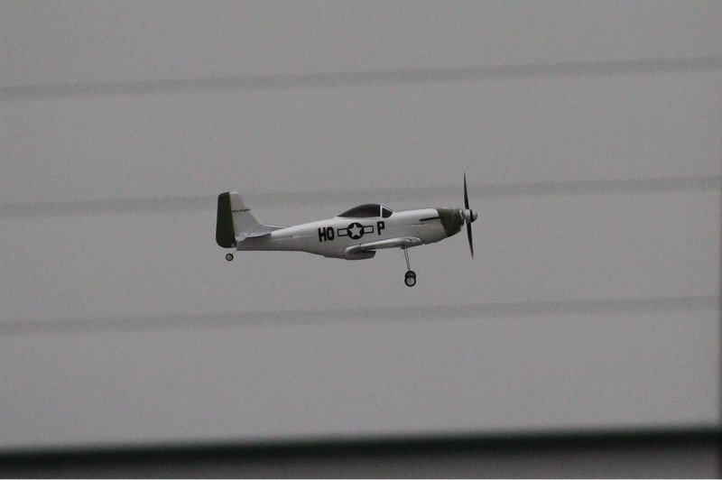 Messe Wien 2011
