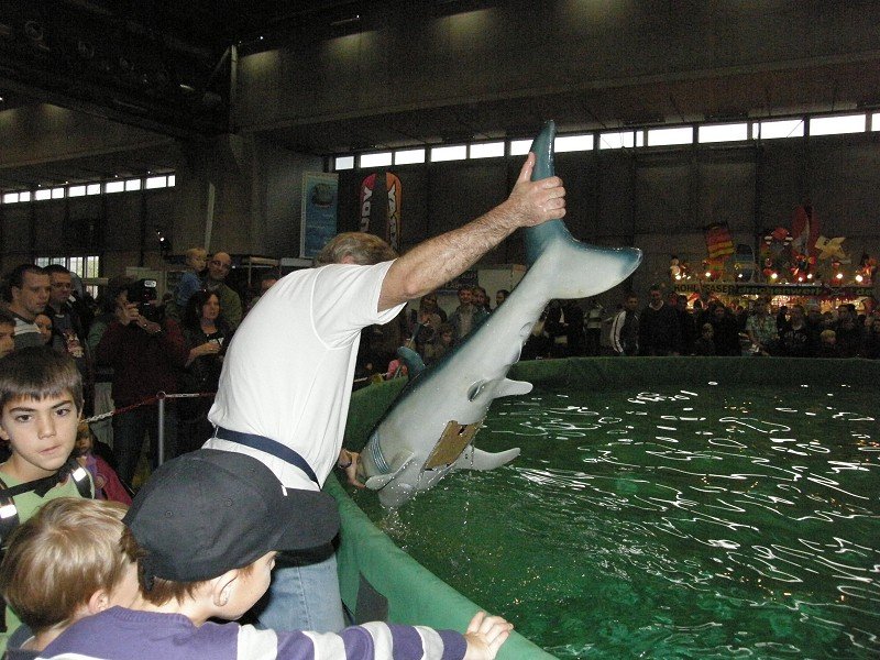 Messe Wien 2011